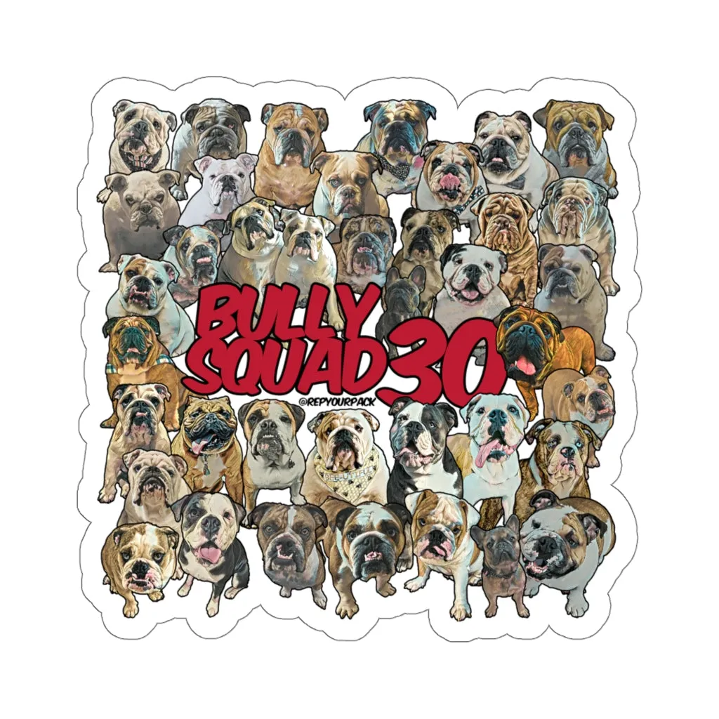 Bully Squad 30 RED Sticker