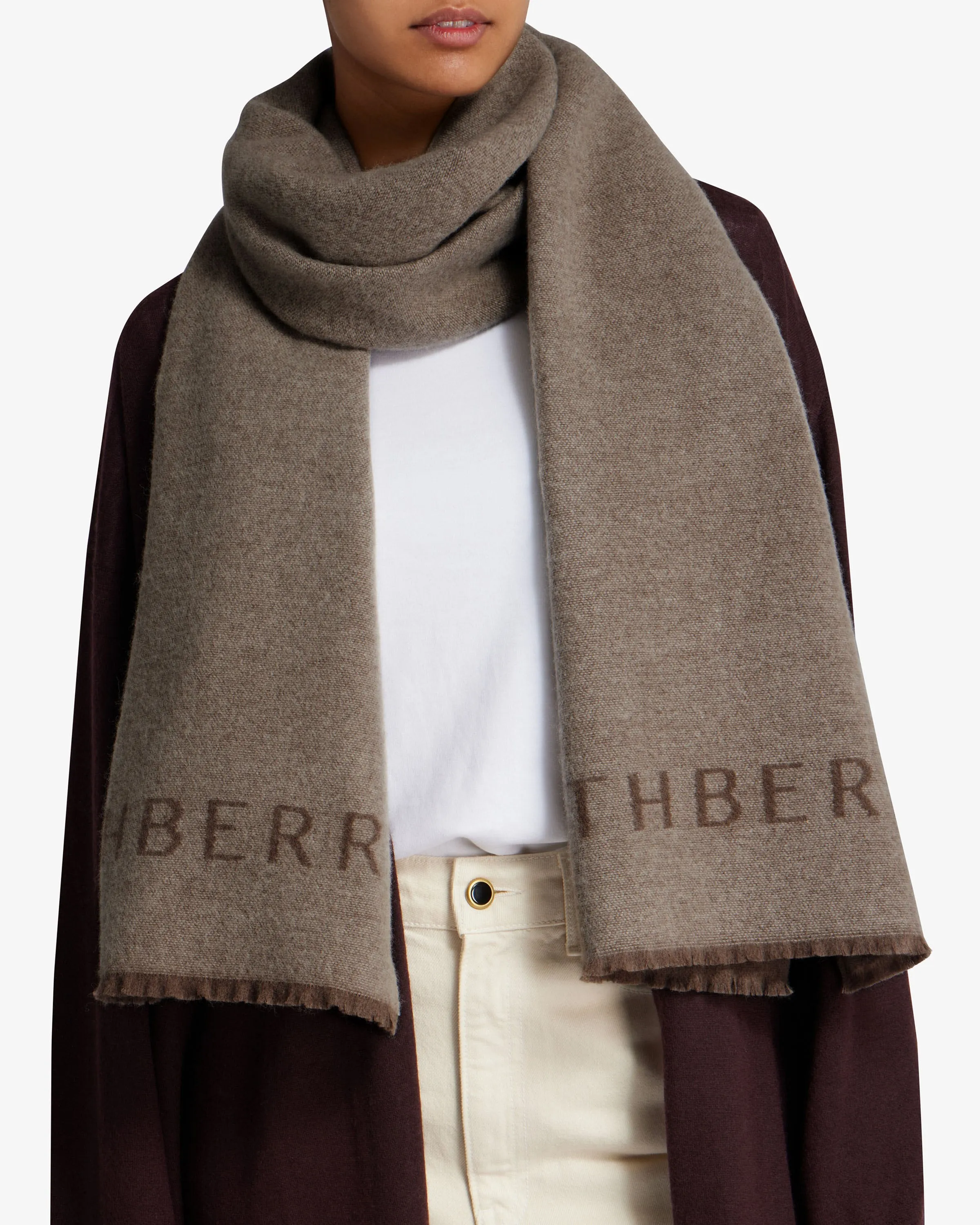 Cashmere Wool Strathberry Logo Scarf - Dashund/Oat