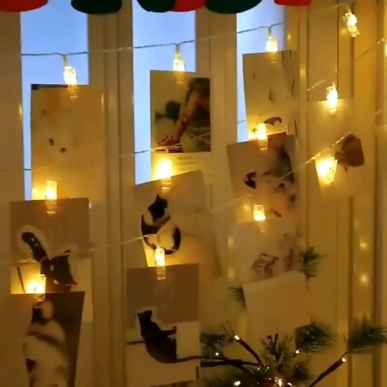 Must-Have LED Photo Holder String Lights