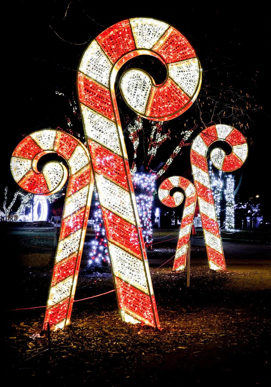 Season's Greetings Candy Cane Selfie Station