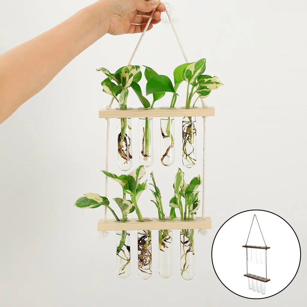 Wall Hanging Flower/Glass/Planter/Propagator/Terrarium