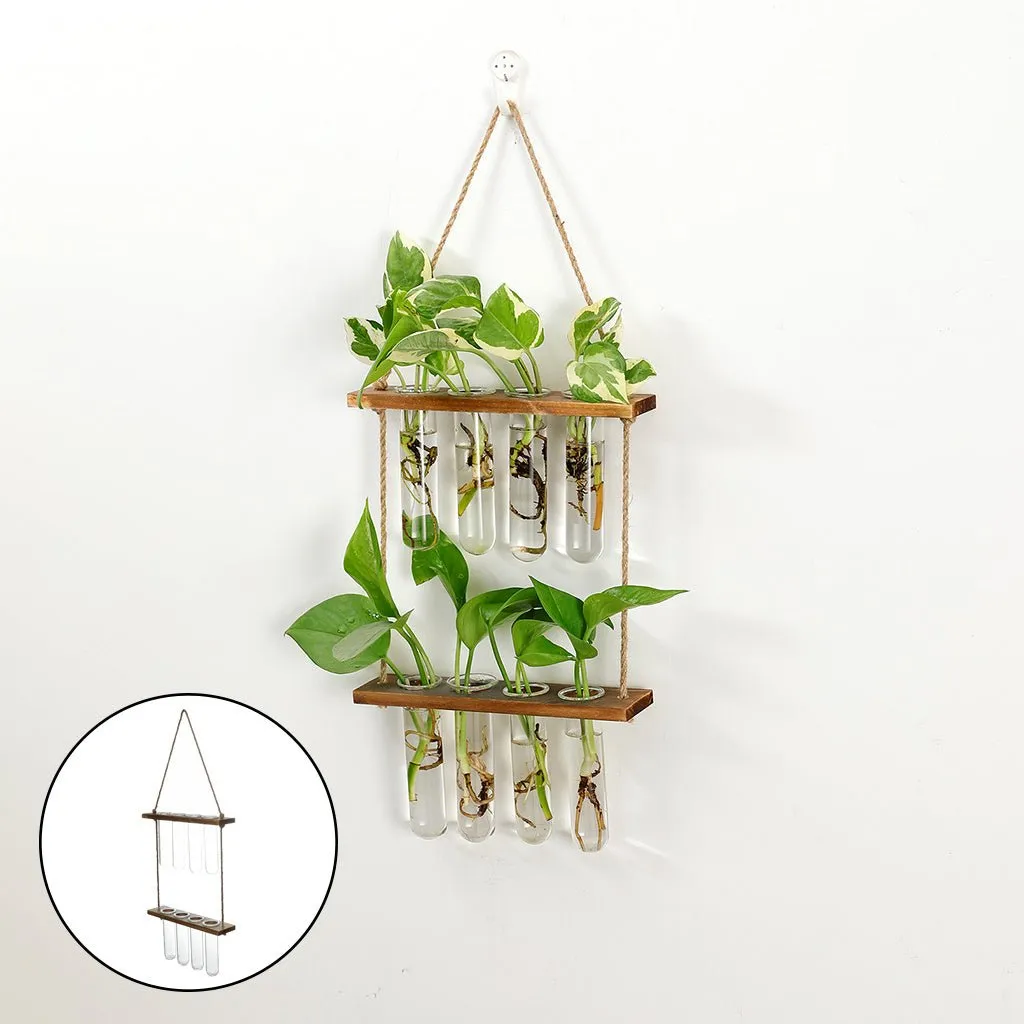 Wall Hanging Flower/Glass/Planter/Propagator/Terrarium