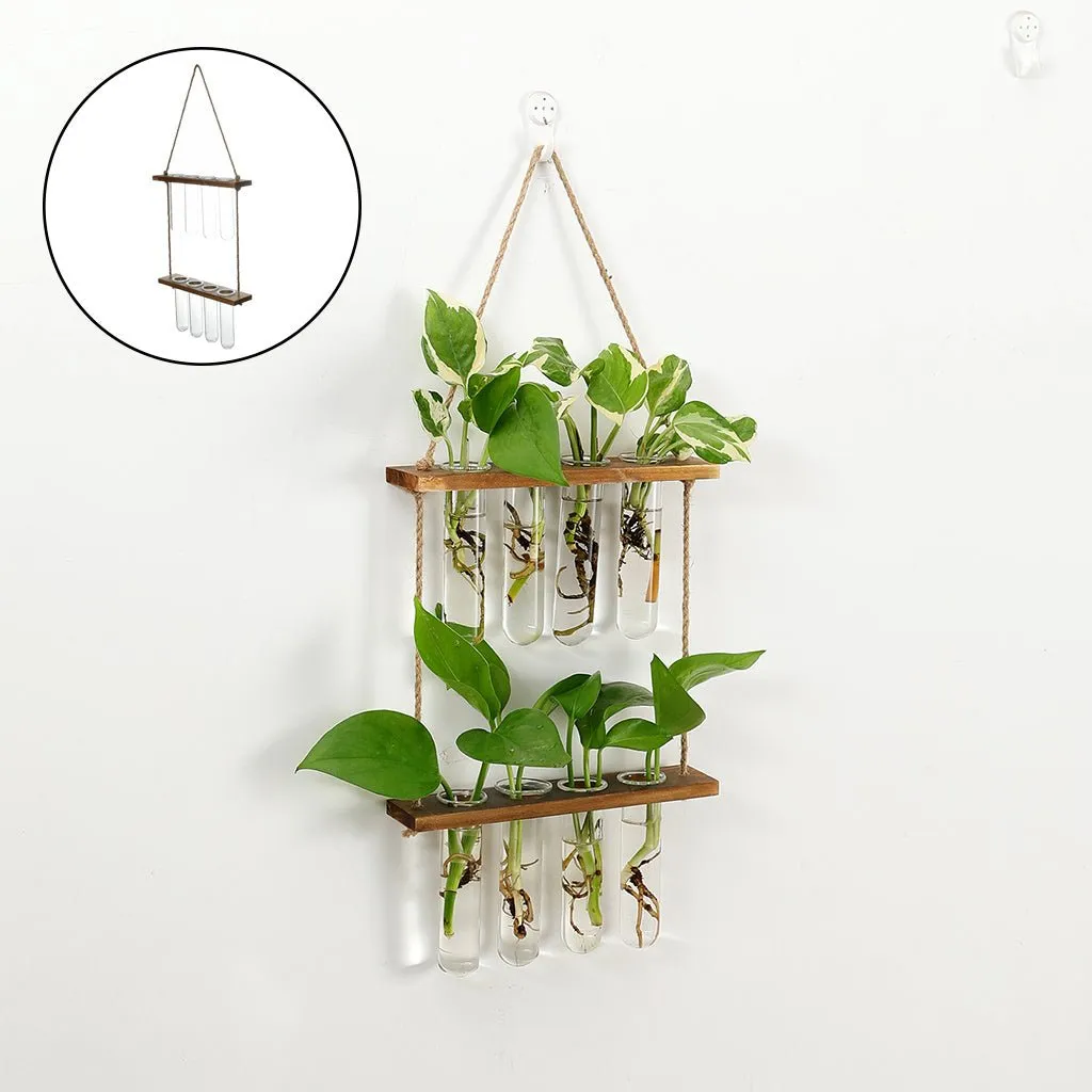 Wall Hanging Flower/Glass/Planter/Propagator/Terrarium